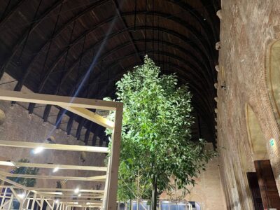 Premio Dedalo Minosse, Vicenza, 2025