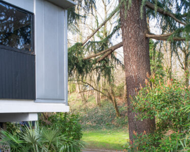 © Emanuele Piccardo