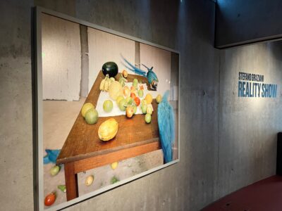 Mendrisio, Teatro dell'architettura, 2025, mostra Stefano Graziani. Reality Show