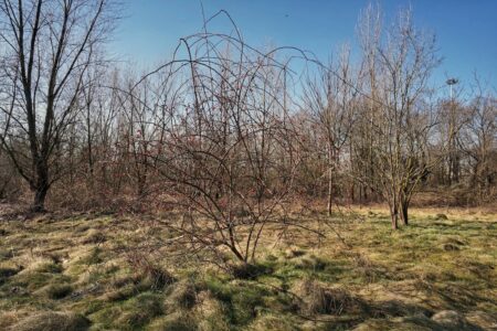 Terrapreta, La Goccia, Milano (https://terrapreta.it/ita/progetti/osservatorio-la-goccia)