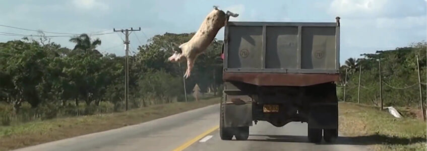 Tiziana Pers, "Saut dans le vide", 2016 (video still). Courtesy of the artist.