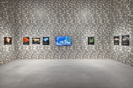 EMST Atene "Why Look at Animals?", mostra 2025, opera di Marcus Coates, Extinct Animals, 2018 (© Paris Tavitian)