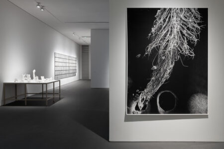 EMST Atene "Why Look at Animals?", mostra 2025, opera di Marcus Coates, Extinct Animals, 2018 (© Paris Tavitian)