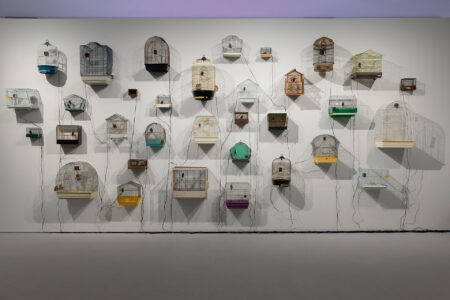 EMST Atene "Why Look at Animals?", mostra 2025, opera di Oussama Tabti, Homo-Carduelis, 2022 (© Paris Tavitian)