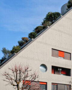 Ada Defez, Le Piramidi