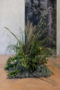 Natura e Artificio, Sala dello Specchio, Palazzo Ducale (© Giuseppe Gradella)