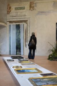 Natura e Artificio, Sala dello Specchio, Palazzo Ducale (© Giuseppe Gradella)