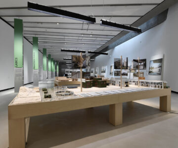 Maxxi, Vitalità Architettura, allestimento, 2026 (courtesy Maxxi, ©G. Benni)