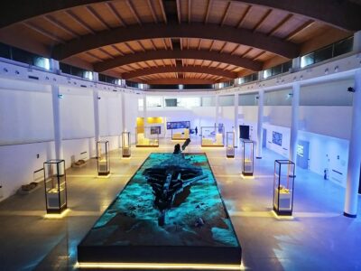 Gela, Museo dei Relitti Greci, 2026 (dal sito web della Regione Sicilia)