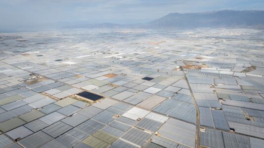 Serre in Almería, Spagna (© Neal Haddaway)