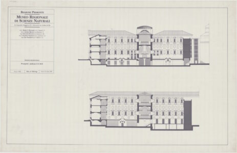 Museo di Scienze Naturali (© Università Iuav di Venezia, Archivio Progetti, Fondo Andrea Bruno)