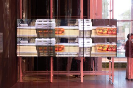 mostra "Convivium: Food Systems at the Limit”, Pinakothek der Moderne, Monaco di Baviera, 2026 (© Nikolai Rusu)
