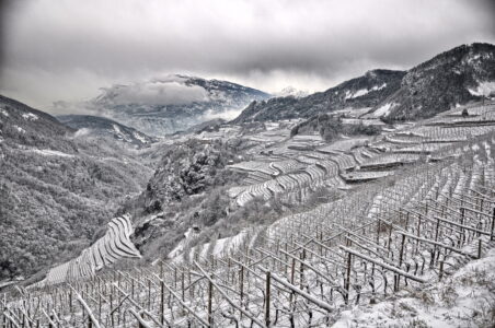 Valle di Cembra - Emblem of Heroic Viticulture