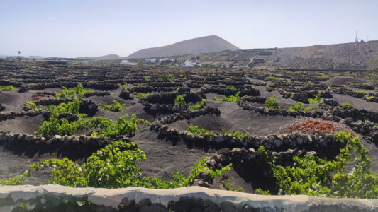 Wonders of Lanzarote