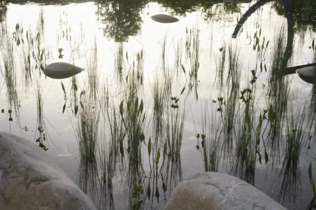 Water Garden, Bas Smets, Vitra Campus (courtesy Vitra / ©Julien Lanoo)