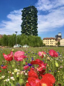 Scorcio della Biblioteca degli alberi con, sullo sfondo, il "Bosco verticale" (© Arianna Panarella)