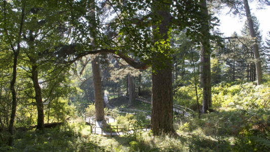 Parco nazionale della Sila