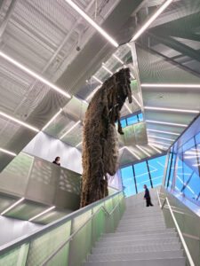 Ampliamento del New Museum of Contemporary Art, OMA, New York, 2026 (courtesy New Museum, © Jason Keen)