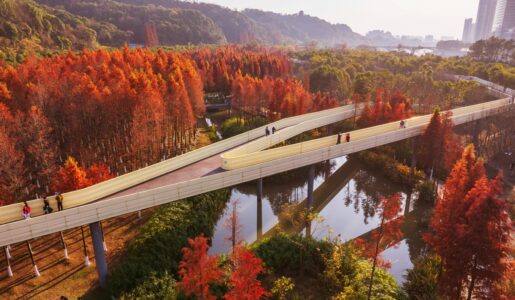 Turenscape, Shangrao Xinjiang Ecological Park, 2020 (dal sito web dello studio © Turenscape)