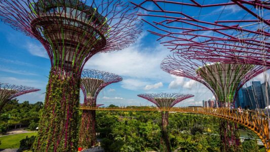 Supertrees, Singapore (dal sito gardensbythebay.com)