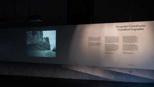 Mostra "Afinidades Líquidas", Casa da Arquitectura, Matosinhos, 2026 (© Constança Soutinho, courtesy Casa da Arquitetura)
